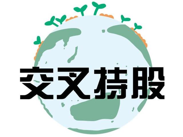 交叉持股安排设计(交叉持股怎么计算持股比例)德州市