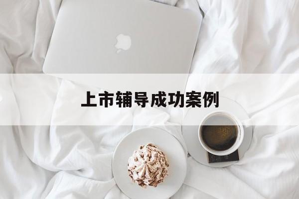 上市辅导成功案例(上市辅导成功后肯定会上市吗)德州市 上市辅导成功案例(上市辅导成功后肯定会上市吗)德州市